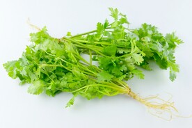 香菜
