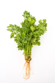 香菜