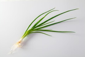 香葱