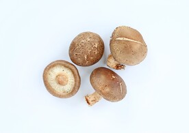 香菇
