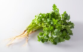 香菜