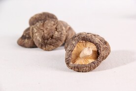 香菇