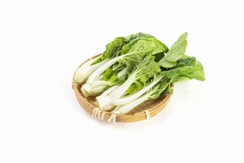 洋白菜