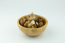 香菇