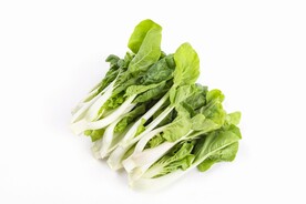 洋白菜