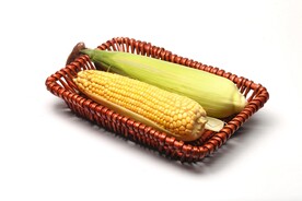 玉米