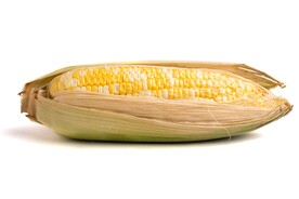 玉米