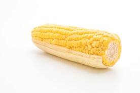 玉米