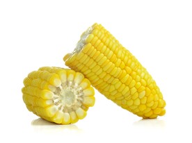 玉米