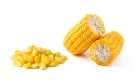 玉米