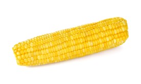 玉米 