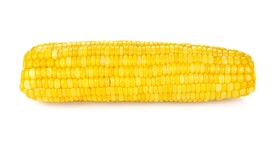 玉米