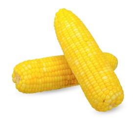 玉米