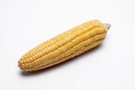 玉米