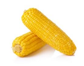 玉米