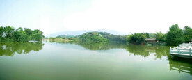 广东星湖湿地公园
