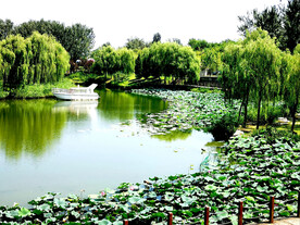 北京翠湖国家湿地公园