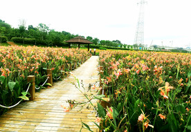 广西南宁那考河湿地公园