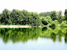 北京翠湖国家湿地公园