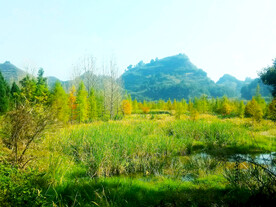 湖南思蒙湿地