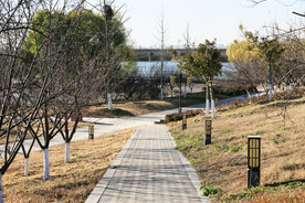 步道旁的景观灯