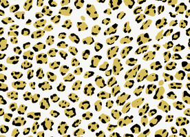 矢量 豹纹 双色 