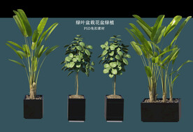盆栽花盆绿植PSD免扣素材