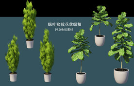 盆栽花盆绿植PSD免扣素材