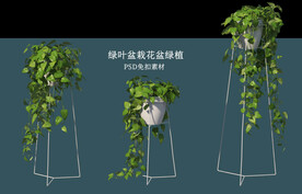 盆栽花盆绿植PSD免扣素材