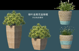 盆栽花盆绿植PSD免扣素材