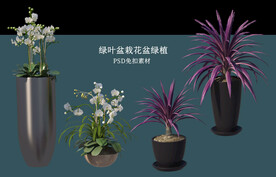 盆栽花盆绿植PSD免扣素材