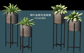 盆栽花盆绿植PSD免扣素材