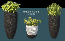 盆栽花盆绿植PSD免扣素材