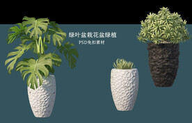 盆栽花盆绿植PSD免扣素材