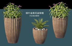 盆栽花盆绿植PSD免扣素材