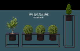 盆栽花盆绿植PSD免扣素材