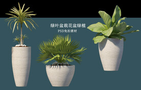 盆栽花盆绿植PSD免扣素材
