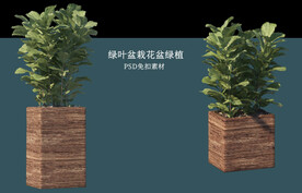 盆栽花盆绿植PSD免扣素材