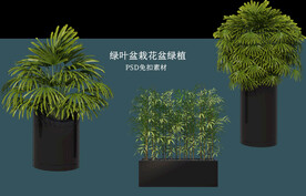 盆栽花盆绿植PSD免扣素材
