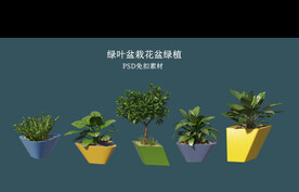 盆栽花盆绿植PSD免扣素材