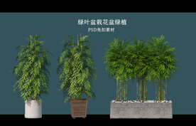盆栽花盆绿植PSD免扣素材