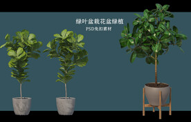 盆栽花盆绿植PSD免扣素材