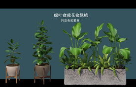 盆栽花盆绿植PSD免扣素材