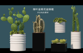 盆栽花盆绿植PSD免扣素材