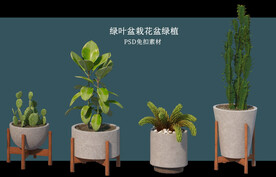盆栽花盆绿植PSD免扣素材