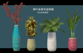 盆栽花盆绿植PSD免扣素材