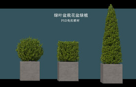 盆栽花盆绿植PSD免扣素材