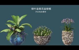 盆栽花盆绿植PSD免扣素材