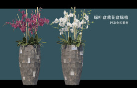 盆栽花盆绿植PSD免扣素材
