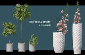 盆栽花盆绿植PSD免扣素材